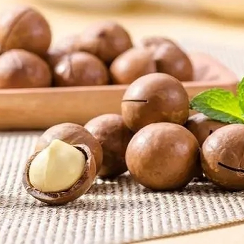 Macadamia