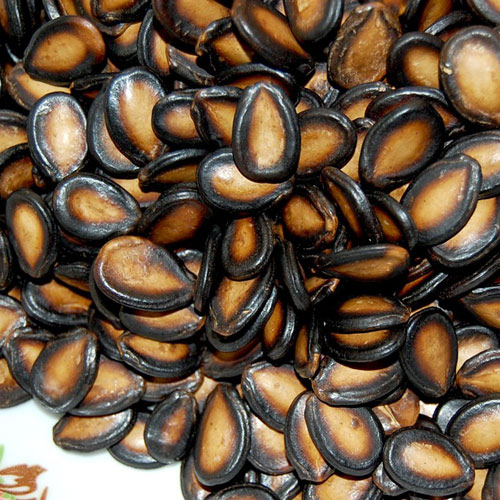 Melon Seeds